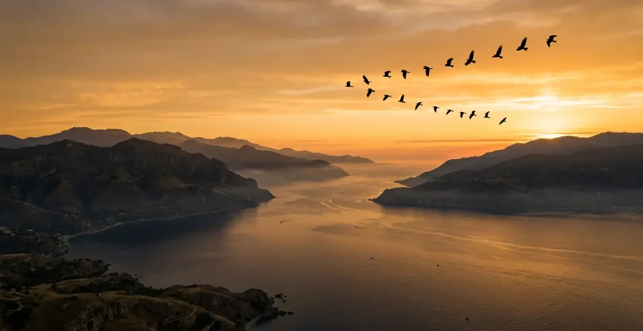 Stormo di rapaci in volo sopra lo Stretto di Messina all'alba con vista sui Monti Peloritani