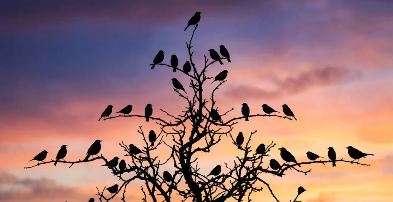 Paesaggio naturale all'alba con sagome di uccelli in controluce