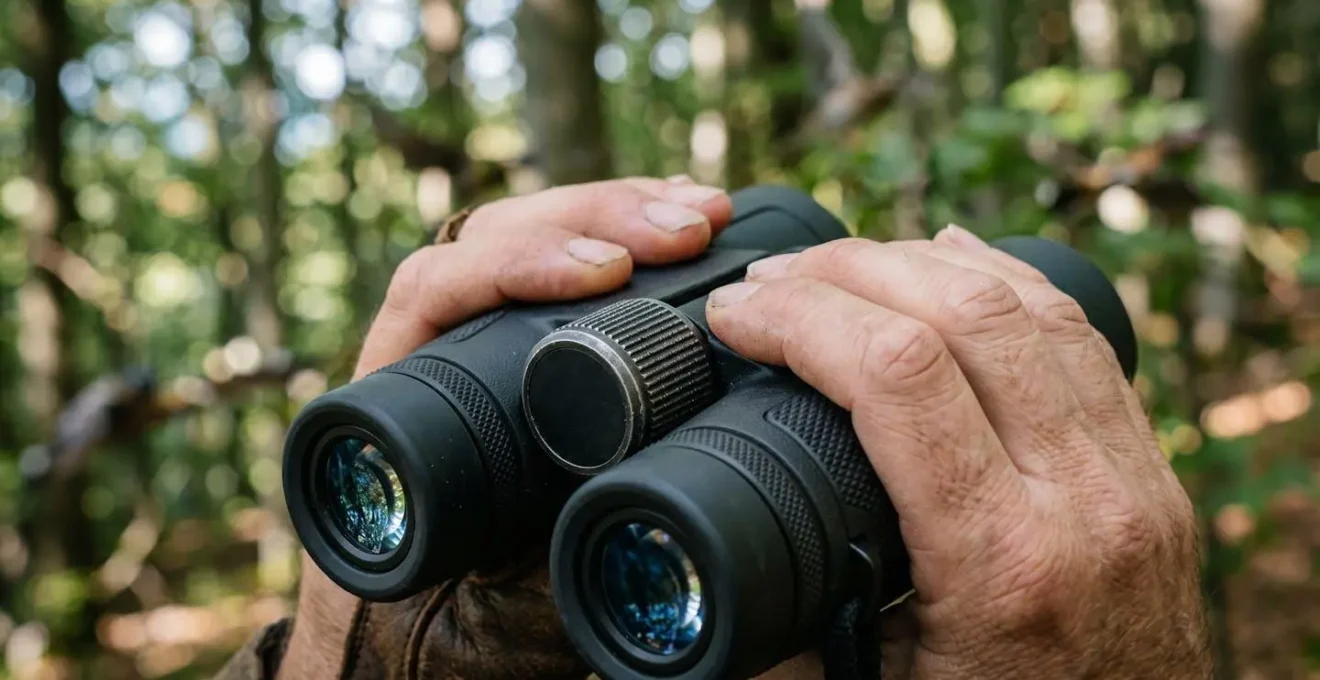 Birdwatcher con binocolo 8x42 che osserva uccelli nel sottobosco