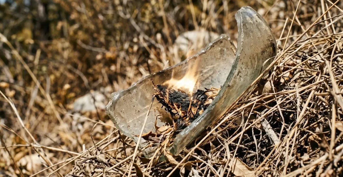Dettaglio ravvicinato di raggi solari concentrati attraverso frammento di vetro su vegetazione secca